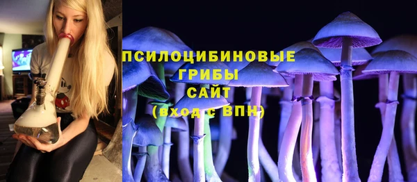 сатива Алексеевка