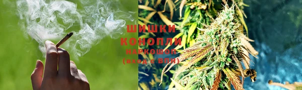 сатива Абинск
