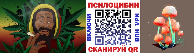 Галлюциногенные грибы мицелий  как найти   Снежногорск 
