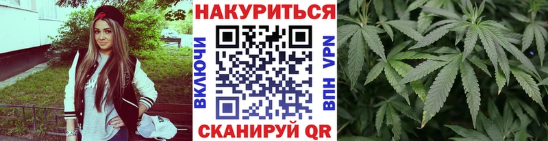 MEGA зеркало Снежногорск Бошки Шишки сатива